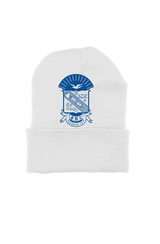 Sigma embroidered beanie