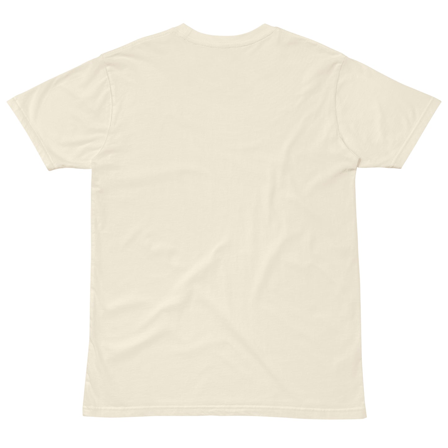 Delta Essentials premium t-shirt